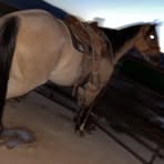 Ryker Scott - Facebook Profile Picture of Ryker Scott (@Ryker-Scott) on Facebook