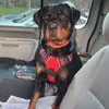 Profile Picture of stevenbeebe (@steve.718) on Tiktok