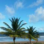 Profile Picture of Gale Grant (@malabar326) on Twitter