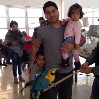 Profile Picture of Eric P. Lamas Torres (@lamas_eric) on Twitter