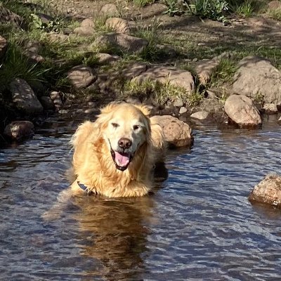 Marilyn Dunne Donofrio - Twitter Profile Picture of Marilyn Dunne Donofrio (@DonofrioDunne) on Twitter