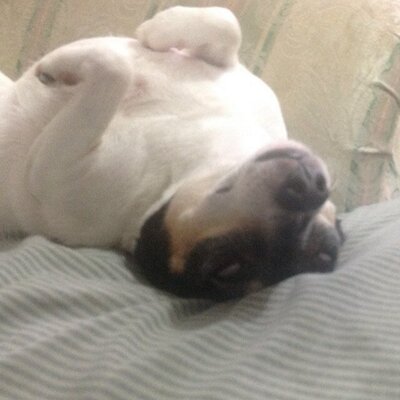 Profile Picture of James Brohm (@jbrohm) on Twitter