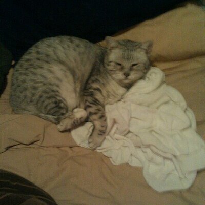 Profile Picture of Jeffrey Schaeffer (@JeffreySchaeff1) on Twitter