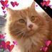 Profile Picture of Iris Schäfer (@iris.schafer.3572) on Facebook