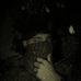 Profile Picture of Sierra Sierra Zulu (@suazo.madrid) on Facebook