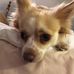 Profile Picture of Shelly Coffman (@shelly.coffman.585) on Facebook
