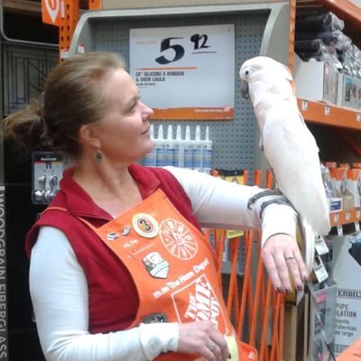 Profile Picture of Pamela Abbott (@Pamelaabbotthd) on Twitter