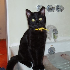 Profile Picture of Jodi Conner (@287692242) on Myspace