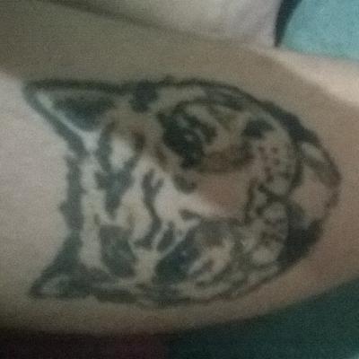 Profile Picture of Bryan Caetano Pinho (@pinho_caetano) on Twitter