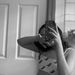 Profile Picture of Emmalibby (@emmalibby49) on Pinterest