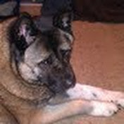 Profile Picture of Nathan Lam (@sagaciouslam) on Youtube