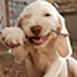 Profile Picture of Catherine Ryan (@catherine ryan) on Flickr