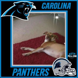 Profile Picture of Ray Cander (@ray.cander.7) on Facebook