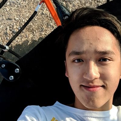 Profile Picture of Austin Nguyen (@penguiini) on Twitter