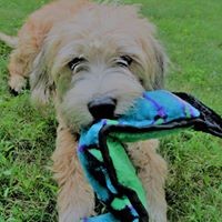 Profile Picture of Lisa Granger (@lisa-granger-6) on Quora