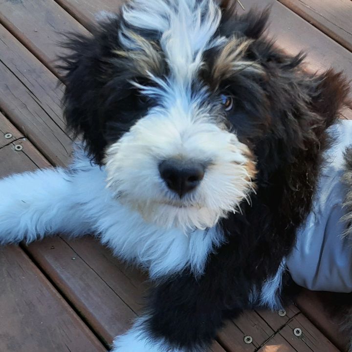 Profile Picture of jasonehosmer (@jasonehosmer) on Tiktok