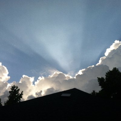 Profile Picture of Brad Coggin (@RedneckGardener) on Twitter