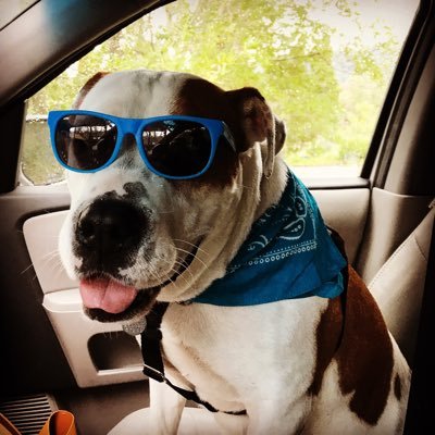 Profile Picture of Peter Godden (@Peter_Godden) on Twitter