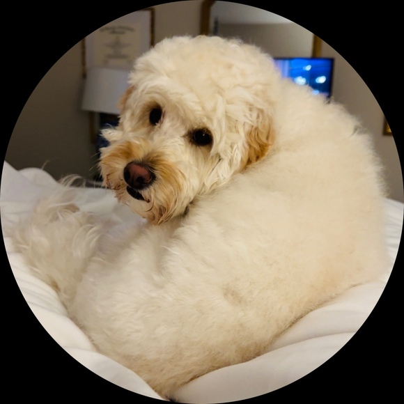 Profile Picture of Lillie Daughtridge (@lilliedaug) on Poshmark