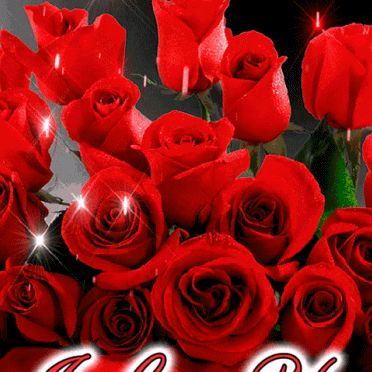 Randy Ley - Tiktok Profile Picture of Randy Ley (@randy.ley6) on Tiktok