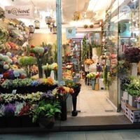 Ashraf A Alsheikh - Pinterest Profile Picture of Ashraf A Alsheikh (@ashrafaalsheikh) on Pinterest