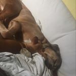 Profile Picture of James Shierlaw (@jamie_deathwish) on Instagram