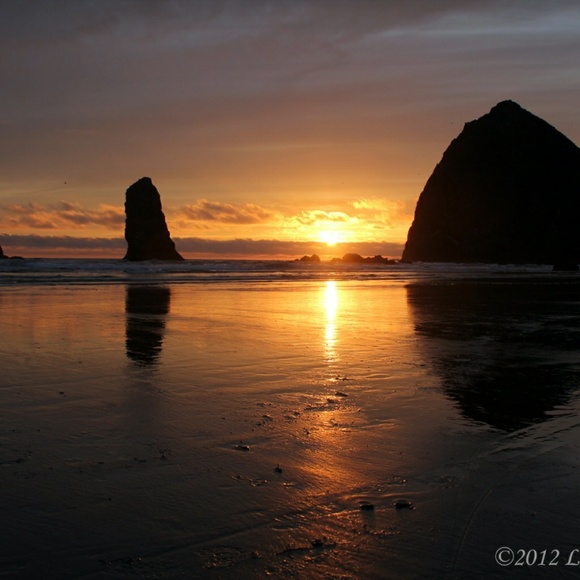 Profile Picture of Alexis Steele (@alexissss333) on Poshmark