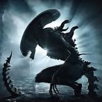 Profile Picture of Brandon Crowe (@brandon.crowe.3517) on Facebook