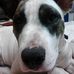 Profile Picture of Peter Weatherall (@peter.weatherall.79219) on Facebook