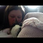 Profile Picture of Lisa Seaton-Scott (@seaton1853) on Instagram