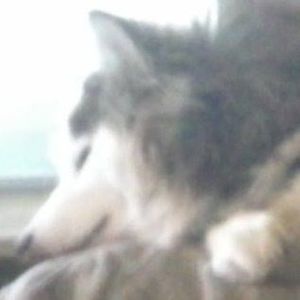 Profile Picture of Joann Barnett (@joanndreams) on Myspace