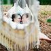 Profile Picture of Kate Magee (@kmagee193) on Pinterest