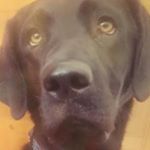 Profile Picture of John55 (@johnthill55) on Instagram