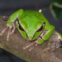 Profile Picture of Jan Quick (@jan-quick-1) on Quora