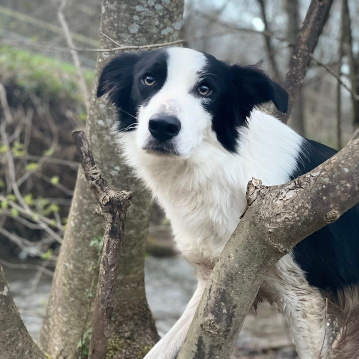 Profile Picture of James_The_Border (@james_the_border) on Tiktok