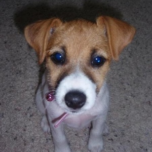 Profile Picture of Paul Brunette (@251735134) on Myspace