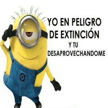 Profile Picture of Mauricio Loza (@MauricioLoza6) on Twitter