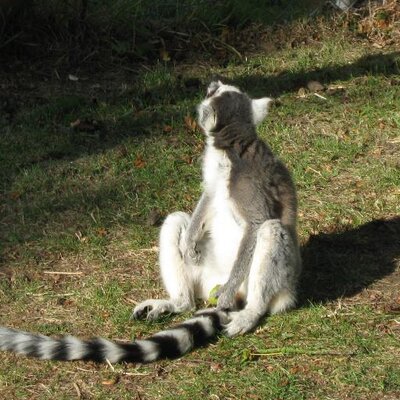 Profile Picture of David J Grange (@DavidJGrange) on Twitter