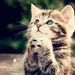 Profile Picture of Phyllis Bender (@grandmabender22) on Pinterest