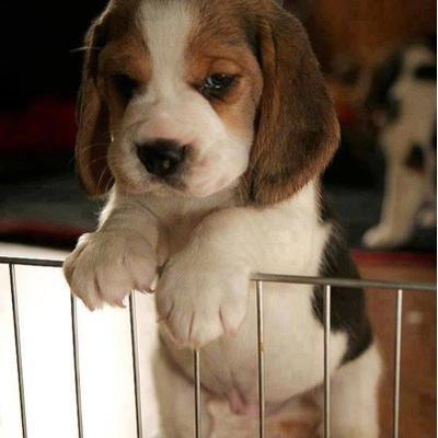 Profile Picture of Eunhee Jang  _ 으니^^ (@tmalzk1) on Twitter