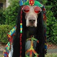 Profile Picture of Peggy Fowler (@peggy-fowler-5) on Quora