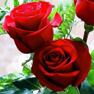 Ruffin Benjamin - Twitter Profile Picture of Ruffin Benjamin (@RuffinBenjamin1) on Twitter