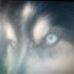Profile Picture of Bobbie Key (@bobbie.key.739) on Facebook