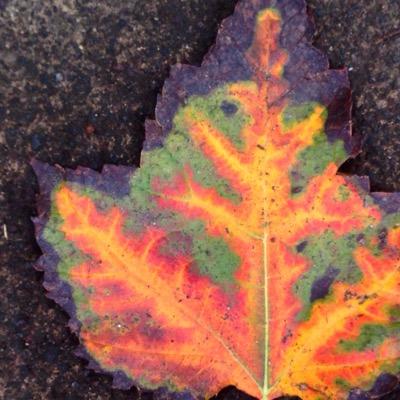 Profile Picture of Michael Fiske (@michaelfiske1) on Twitter