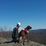 Profile Picture of Chris Laughnane (@liggy781) on Instagram