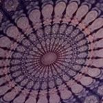 Profile Picture of Jill Watkins (@jill_watkinss) on Instagram