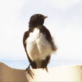 Profile Picture of Amanda Benn (@abenn1378) on Pinterest