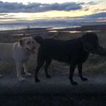 Profile Picture of Abbie Boyd (@abbie_boydx_) on Instagram