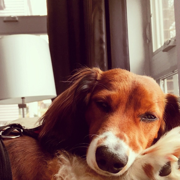 Profile Picture of Michelle Del guidice (@micrn7) on Poshmark