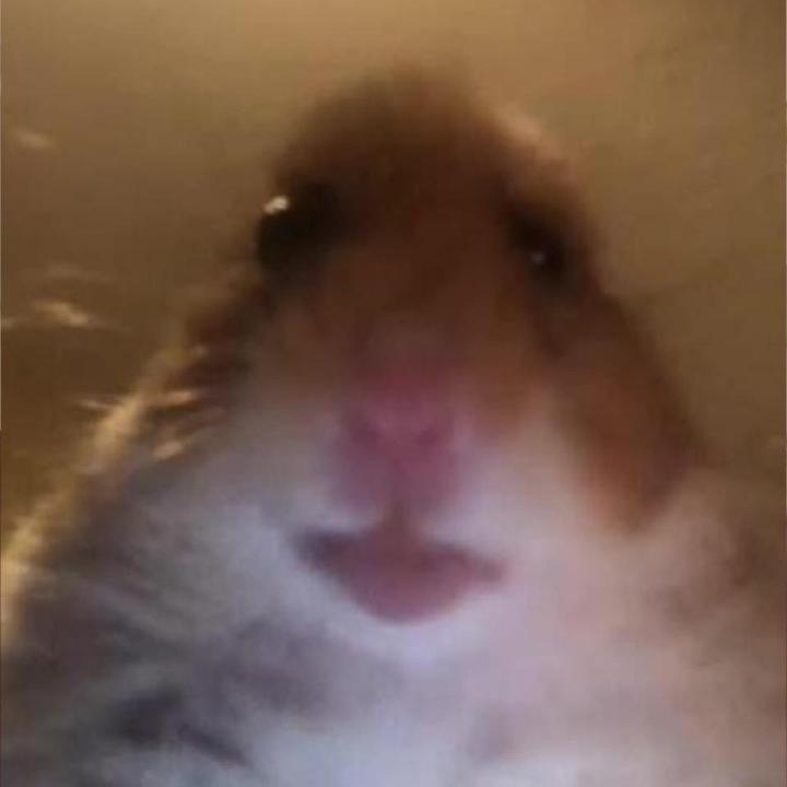 Profile Picture of Lori S (@@lori_s_) on Tiktok